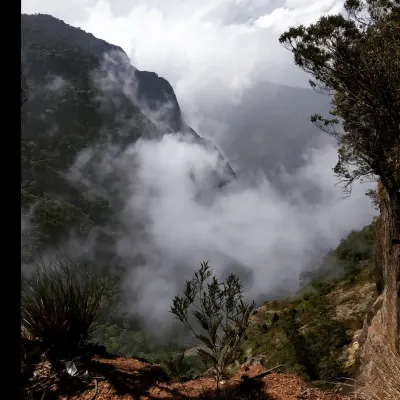 Green Valley View